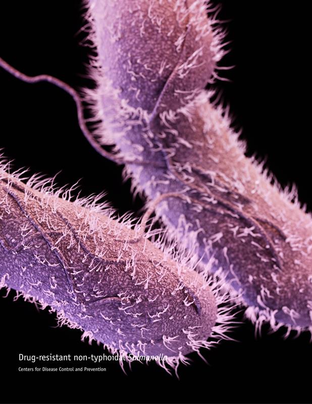 Antibiotika Gegen Schwere Salmonelleninfektionen In Afrika Zunehmend Unwirksam | Deutsches
